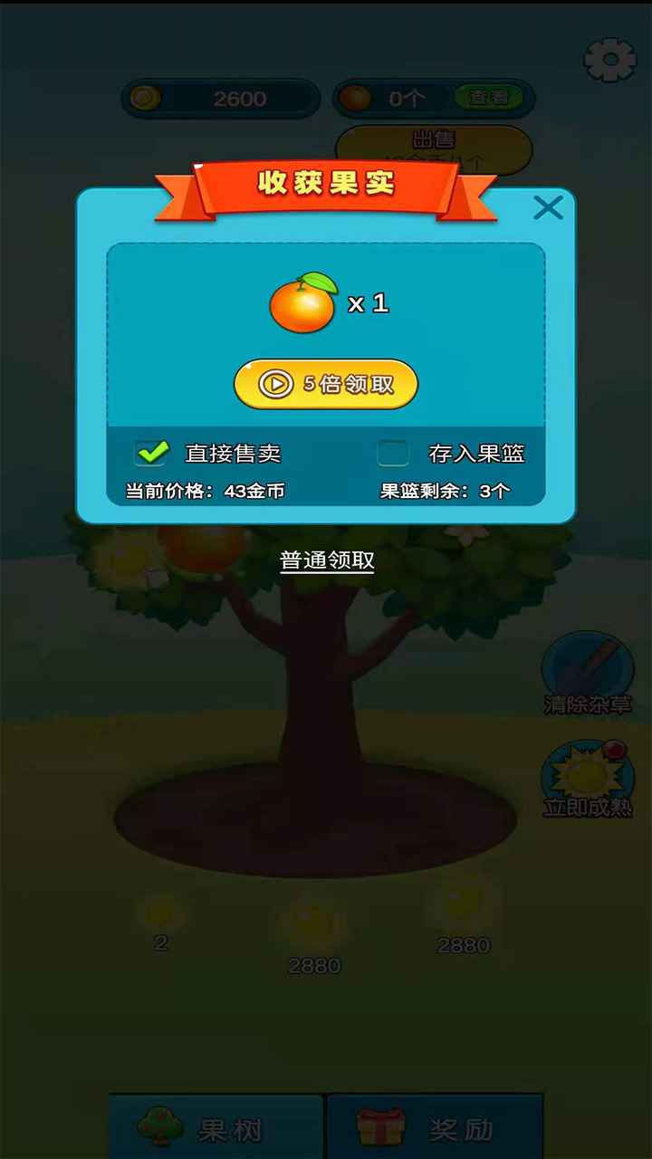 柚子熟了app