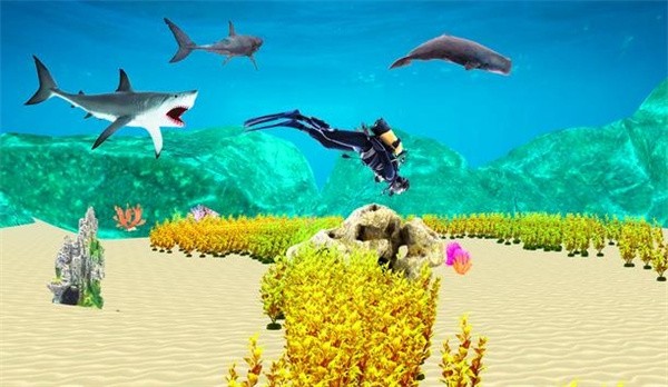 最新巨型鲨鱼3D充值怎样划算,手游vip充值金额