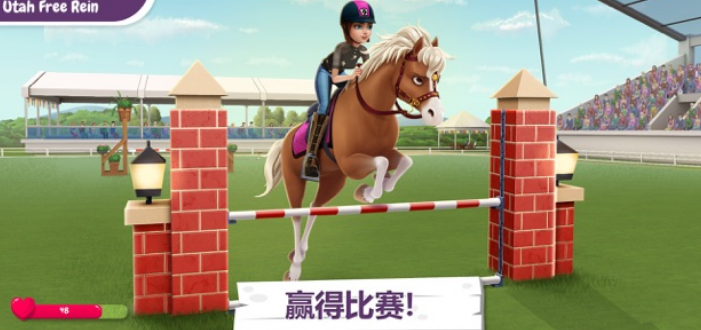 我的赛马故事