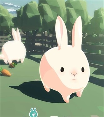 兔子太可爱了