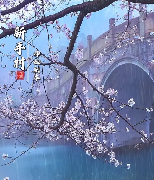仙隐录游戏