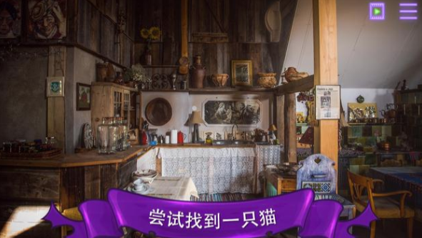 找一只猫