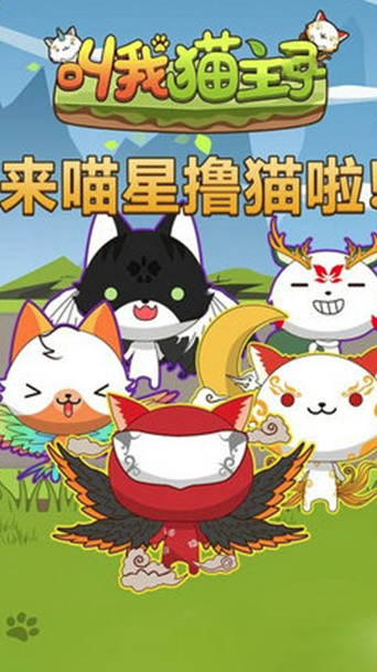 叫我猫主子