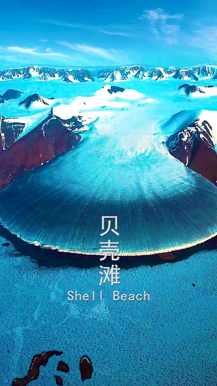 刺客伍六七的对战手游推荐2025