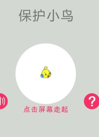 保护小鸟