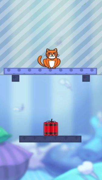 我的猫咪