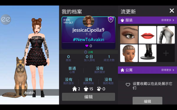 模拟生活3D虚拟世界中文版充值版