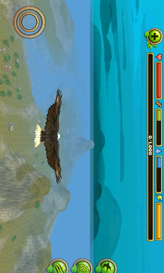 老鹰模拟飞行