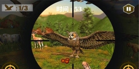 3D猫头鹰狩猎模拟