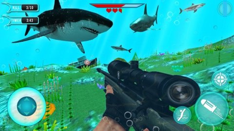 鲨鱼猎手3D
