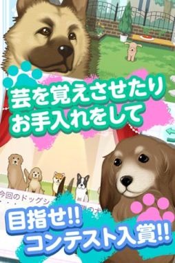 家有萌犬