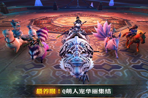 细分首充号续充,什么平台有优惠